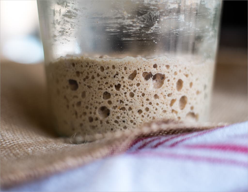 Sourdough leaven (starter) overnight and ready to go