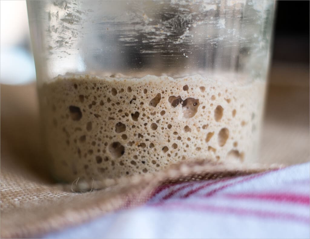 Create your own sourdough starter yeast