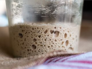 7 Easy Steps to Making an Incredible Sourdough Starter From Scratch via @theperfectloaf