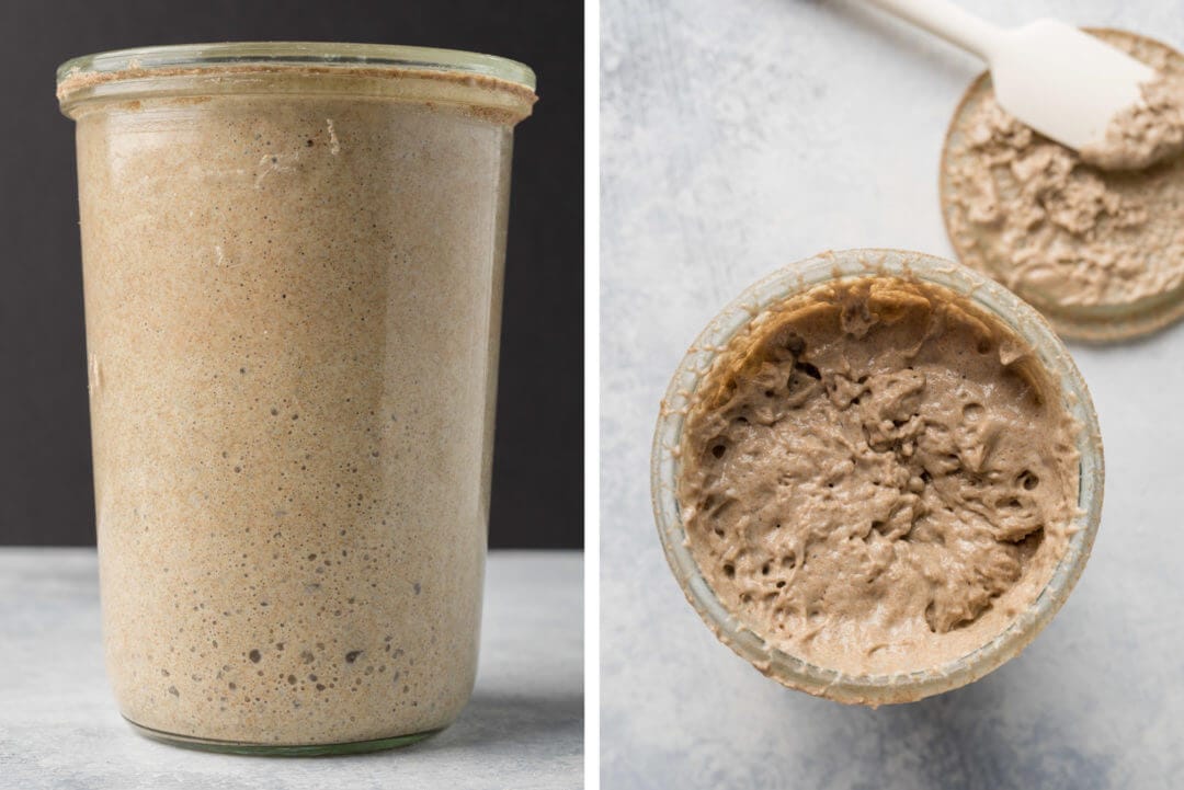 7 Easy Steps to Making an Incredible Sourdough Starter From Scratch via @theperfectloaf