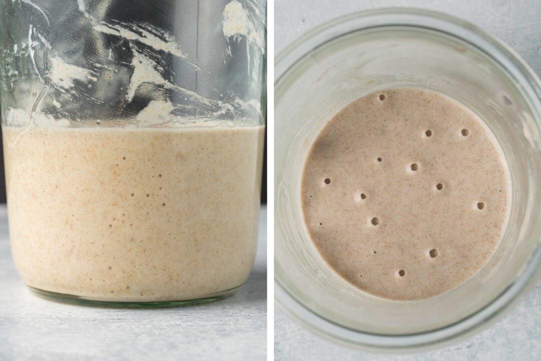 Sourdough starter just starting to show signs of fermentation