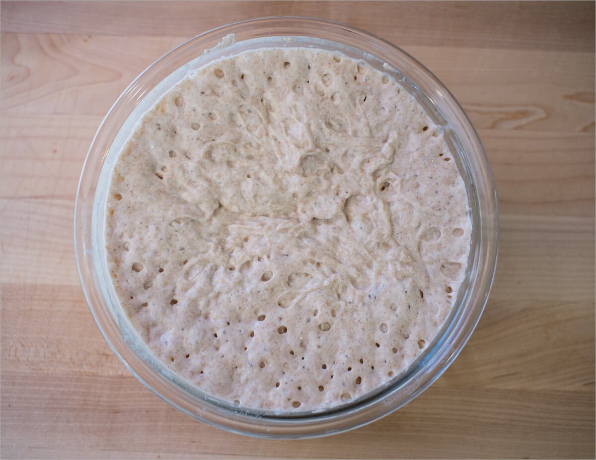 Sourdough starter ready to use