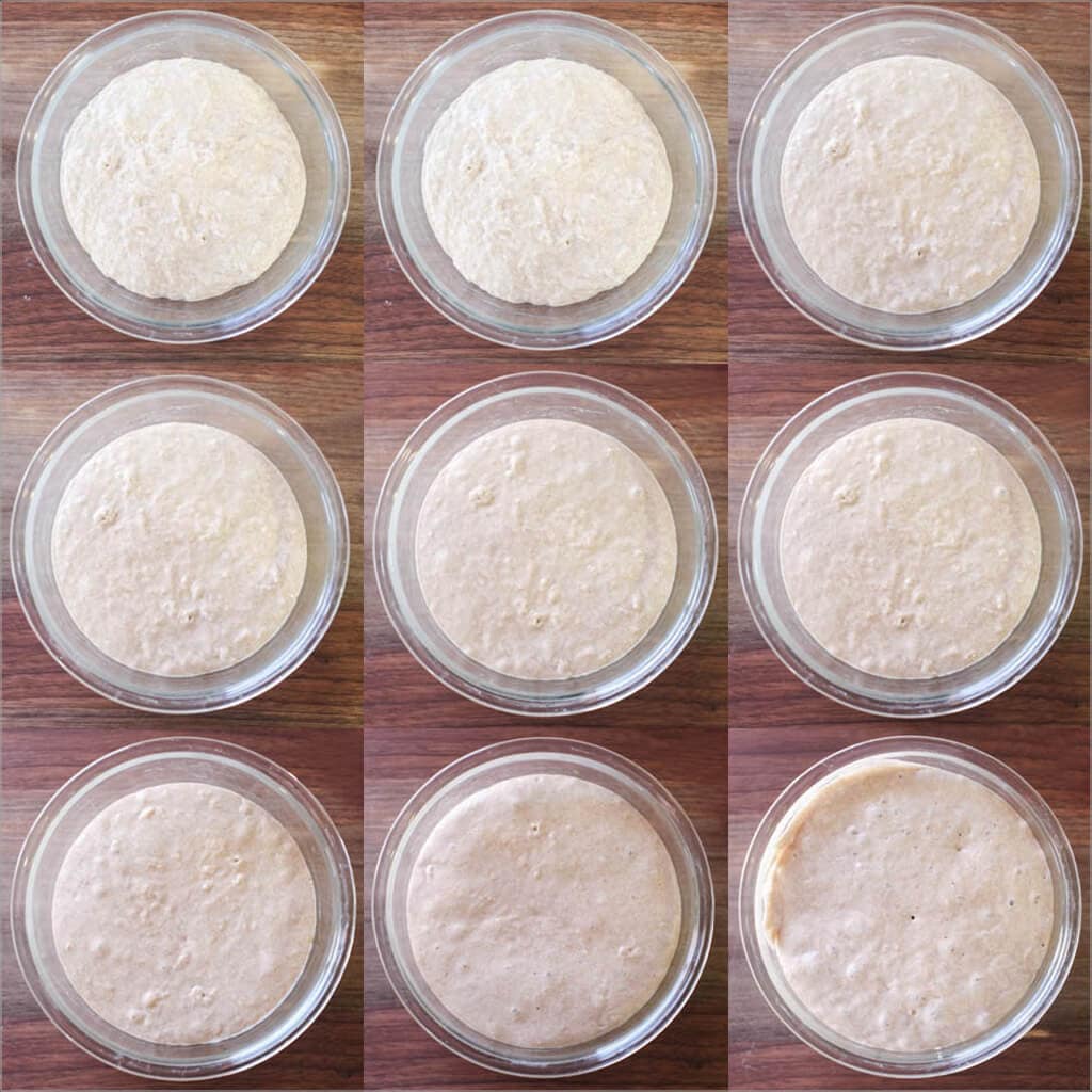 Young levain progression