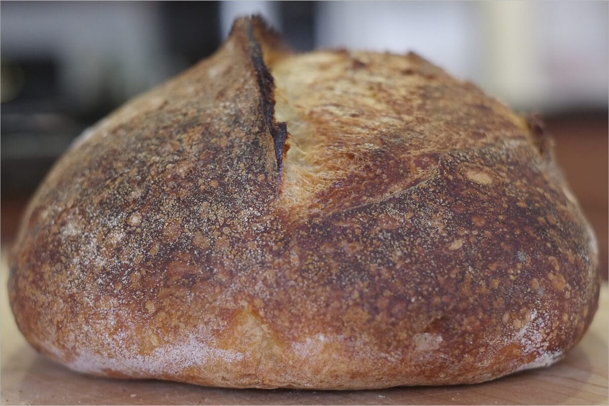 Young Levain Crust
