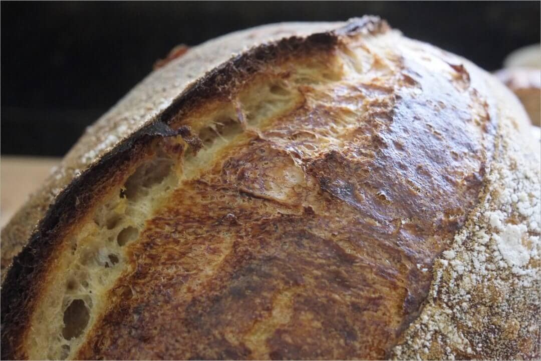 Young Levain