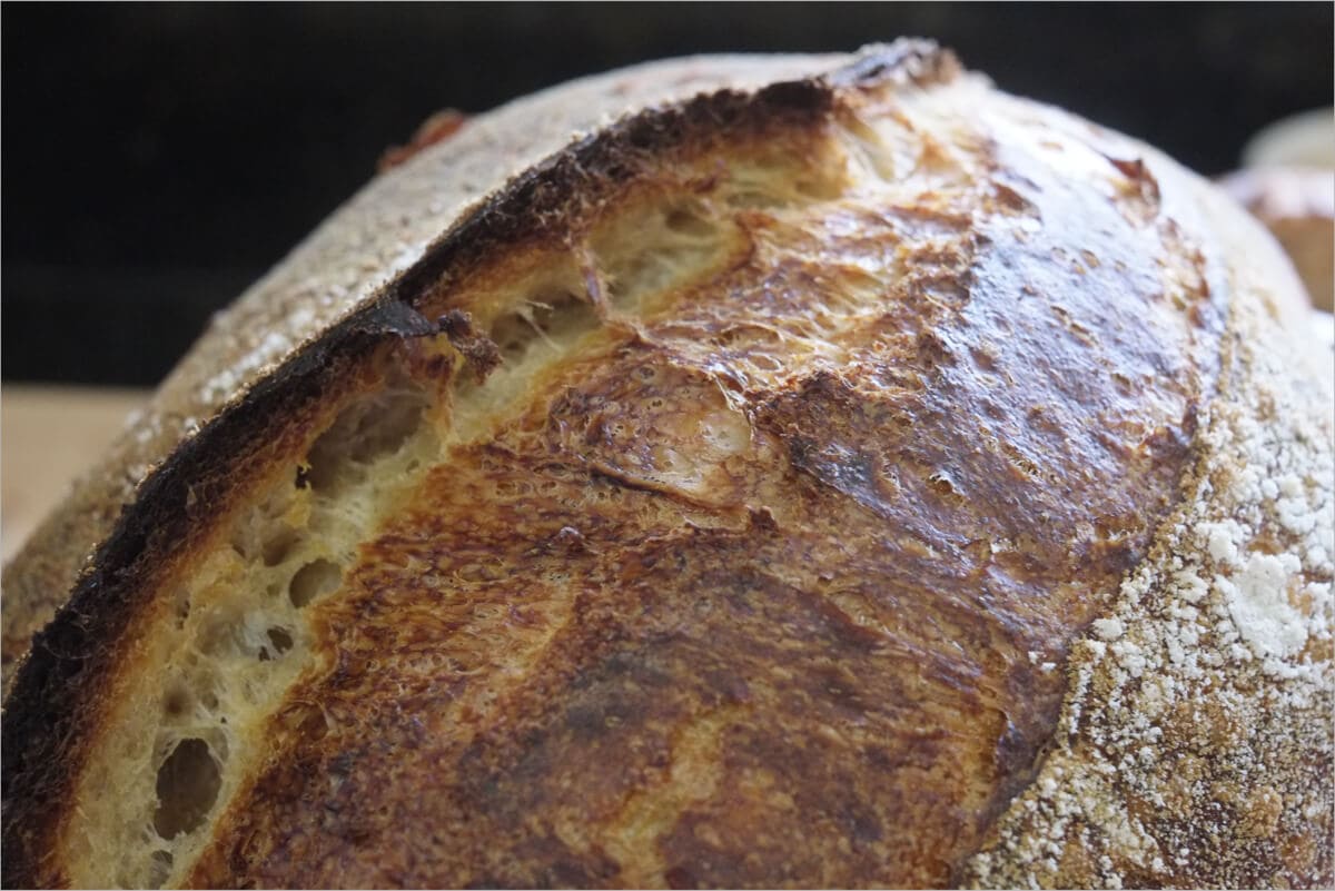 Easy Dutch oven sourdough bread for beginners - Sprouting Wheel