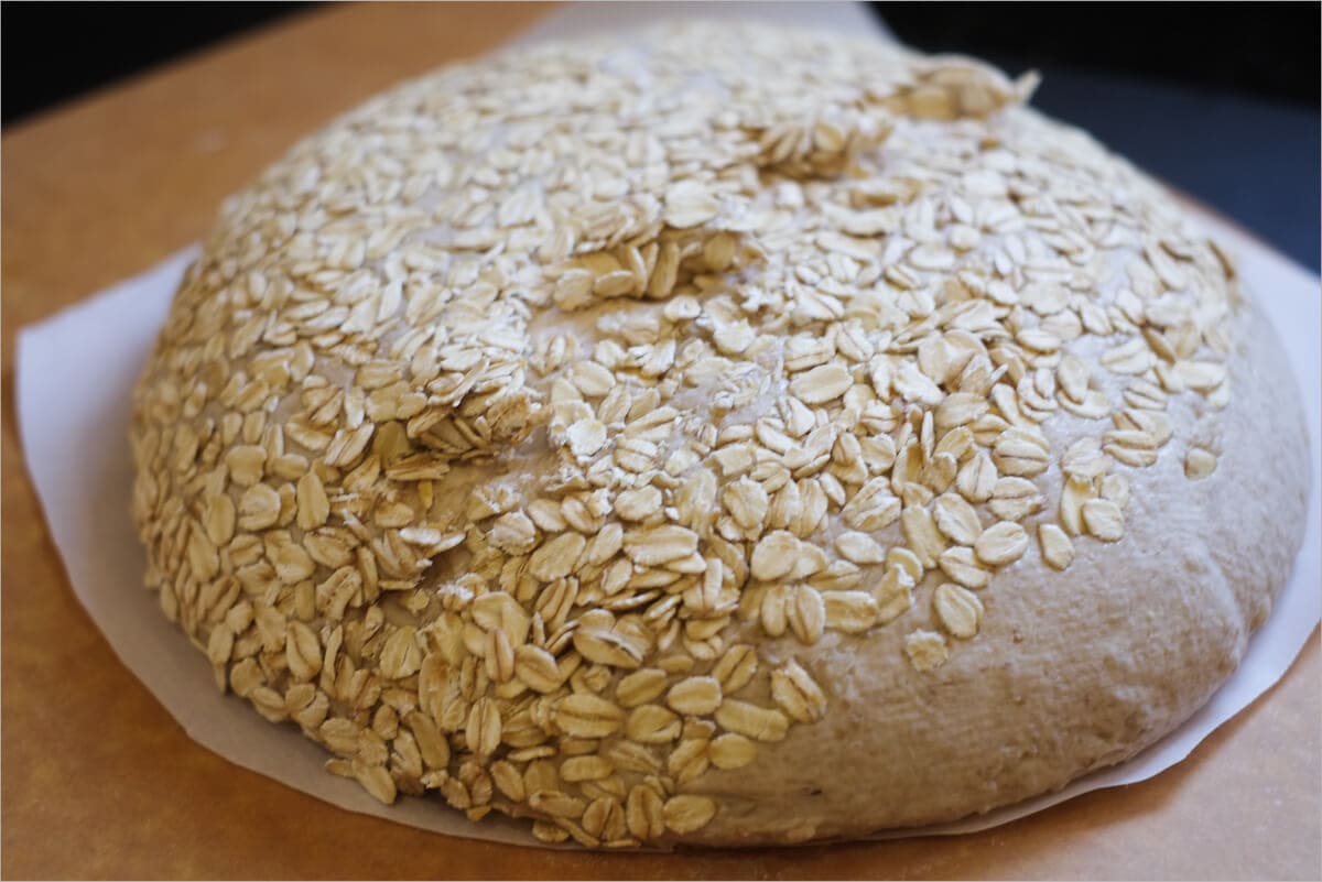 First try at Full Proof Baking's Butterfly blue oat porridge bread :  r/Sourdough