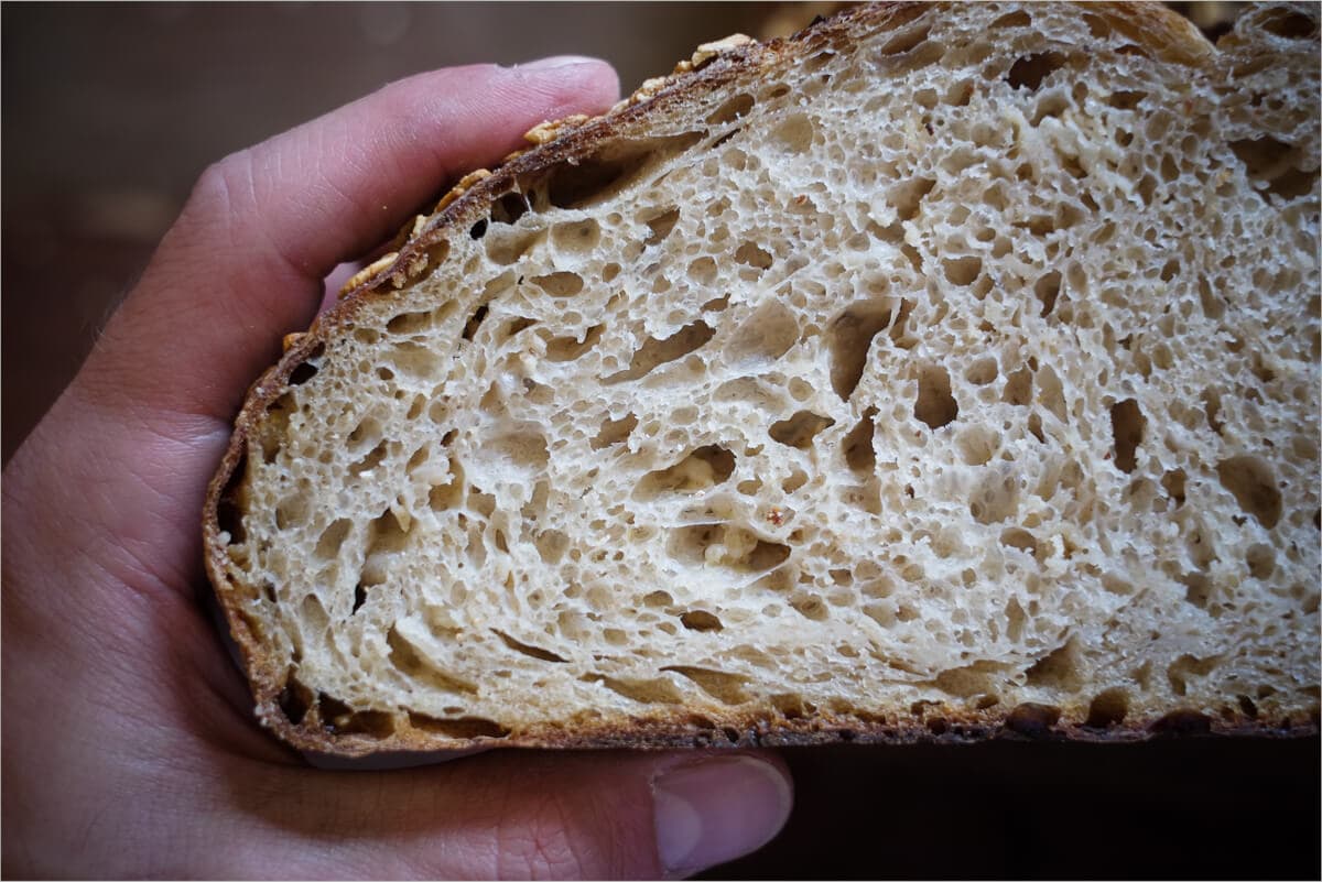 Oat porridge bread crumb