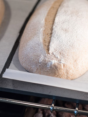 Dough on a Baking steel