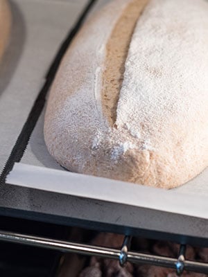 Sourdough Baguettes in Challenger Bread Pan - Bread By Elise