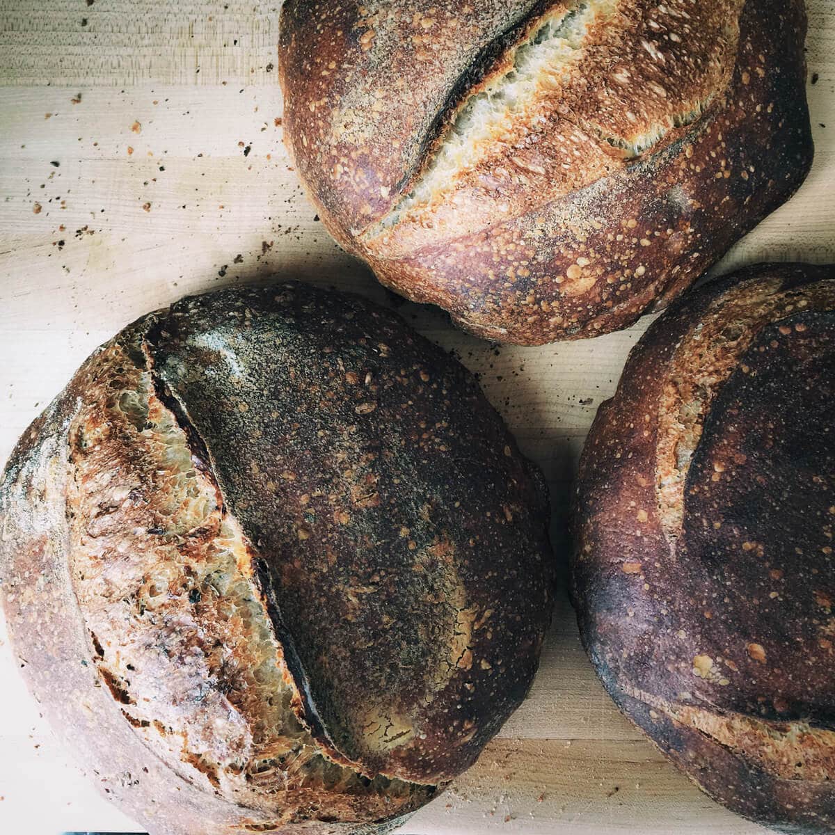 Homemade Sourdough Bread from Start to Finish ~ Barley & Sage