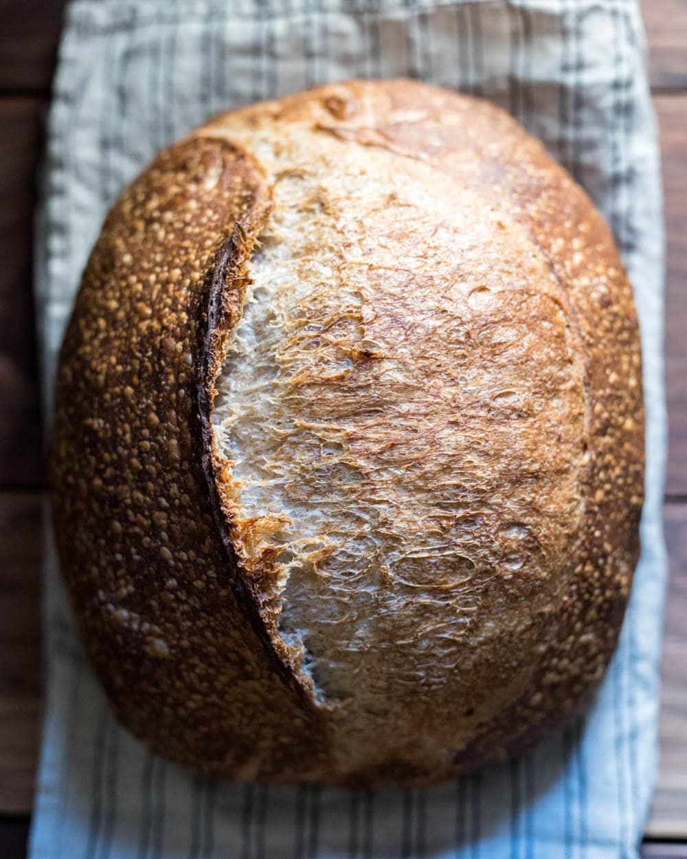 The Sourdough Revolution: A Beginner's Sourdough Recipe and a