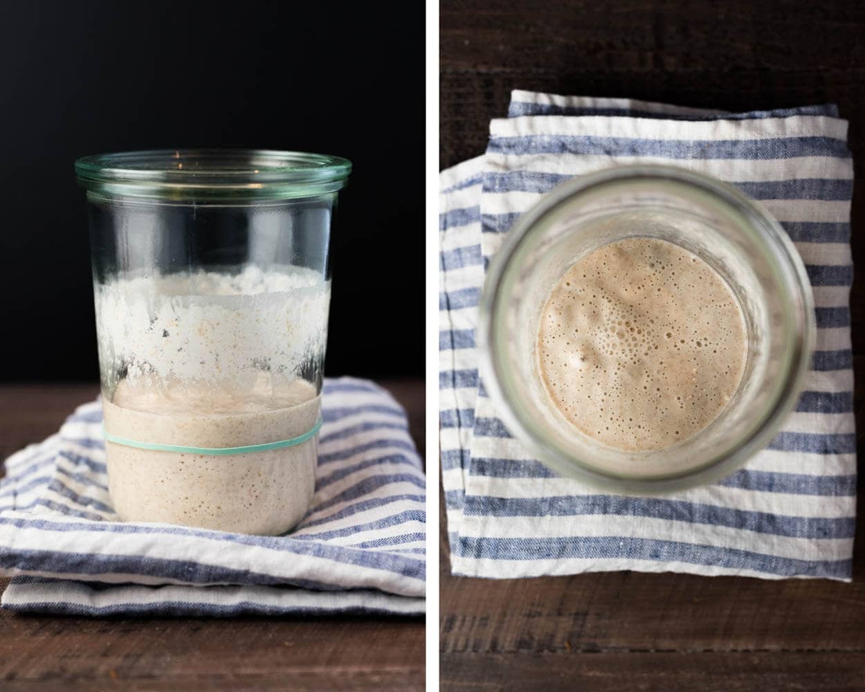 Sourdough Starter Maintenance Routine