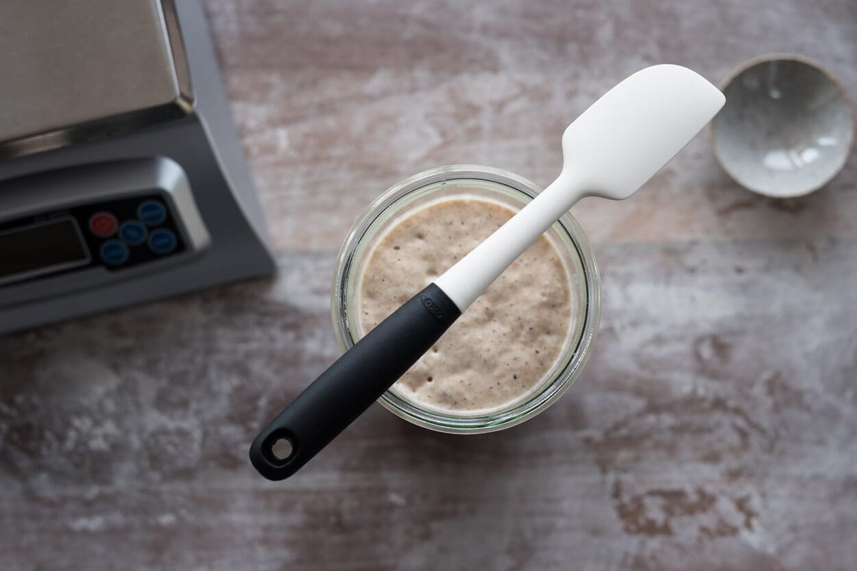 typical sourdough starter maintenance routine