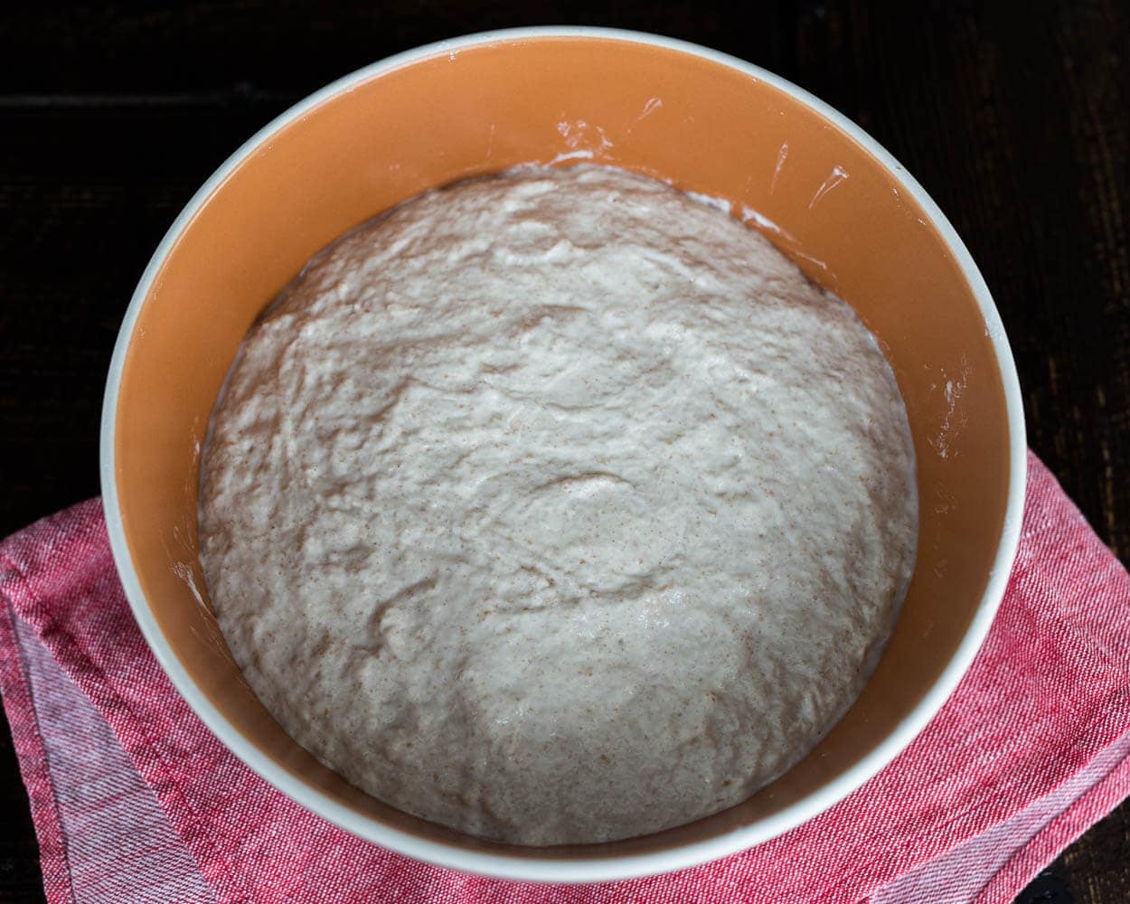 Sourdough at Beginning of Bulk