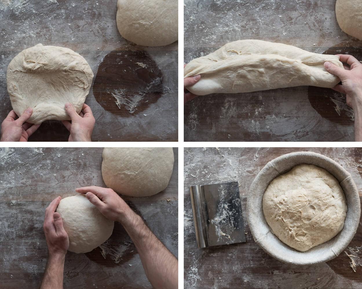 shaping beginner's sourdough bread dough