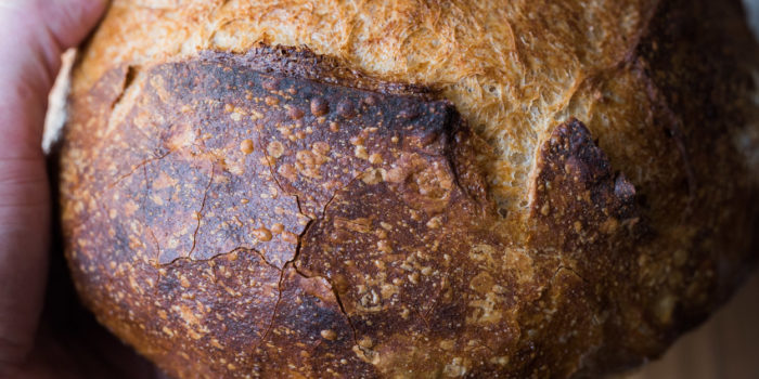 the perfect loaf beginners sourdough crust