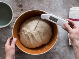 Taking the final dough temperature.