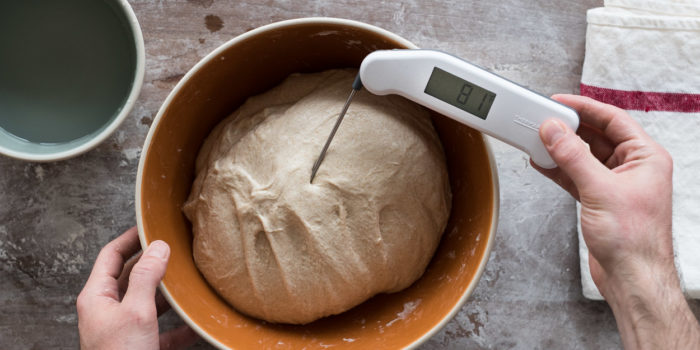 Taking the final dough temperature.