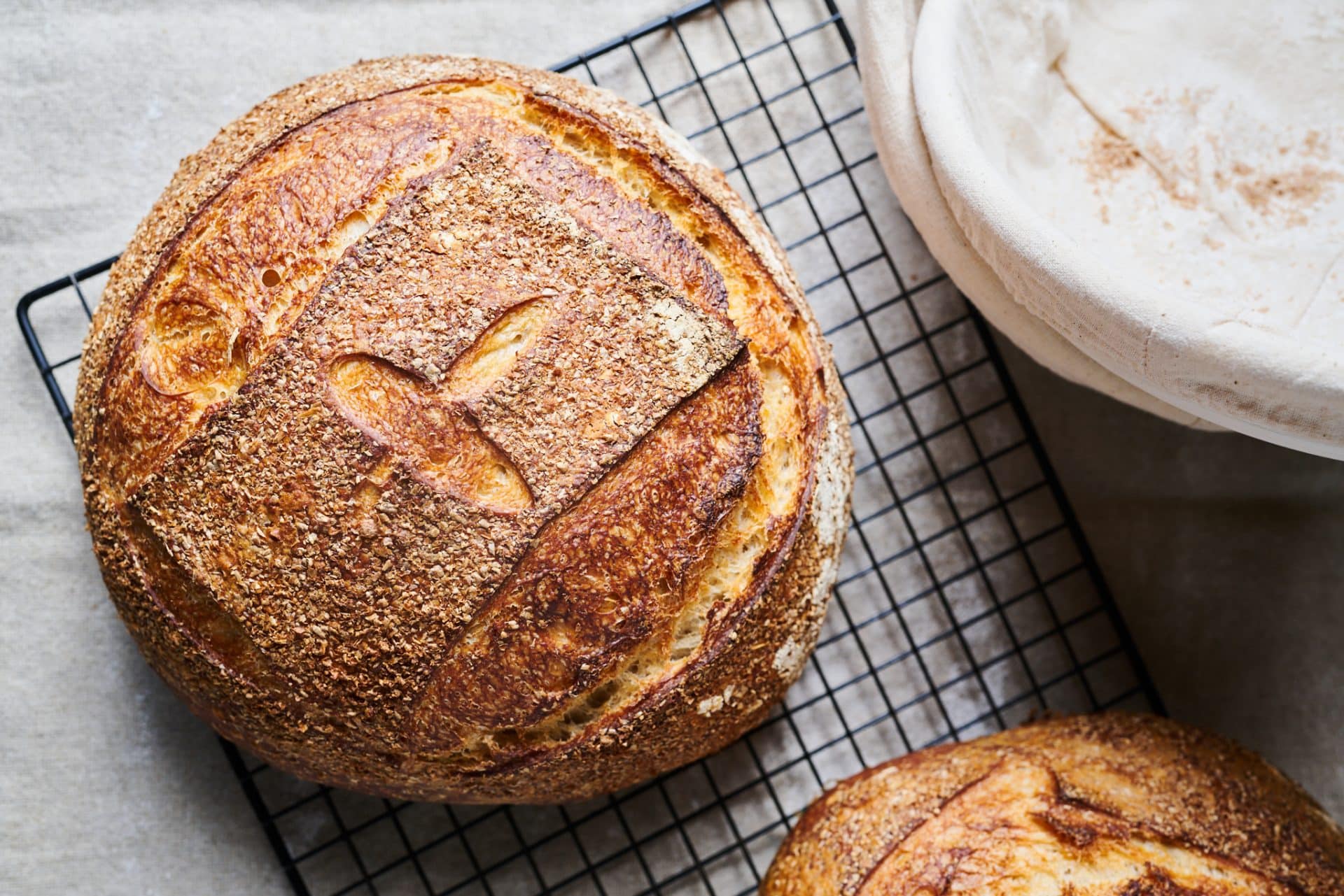 Beginner's Sourdough Bread Crust