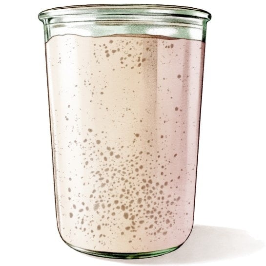 The original illustration of the perfect sourdough