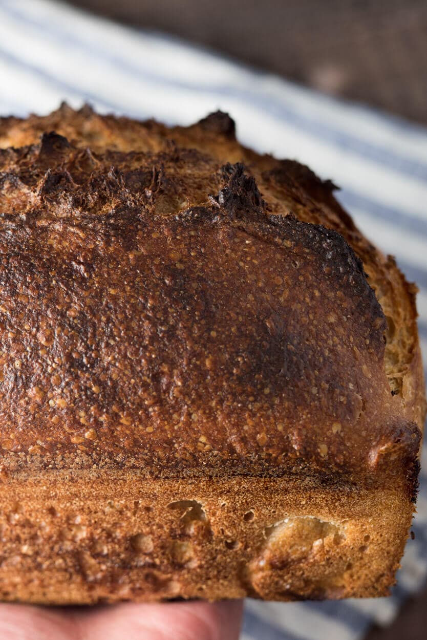 whole wheat sourdough sandwich bread crust