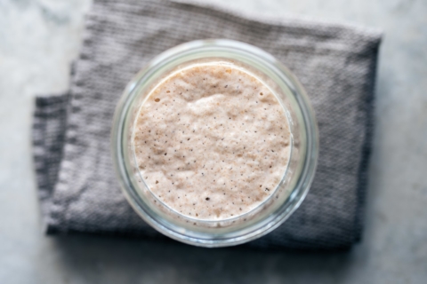 Frequently Asked Sourdough Starter Questions | The Perfect Loaf