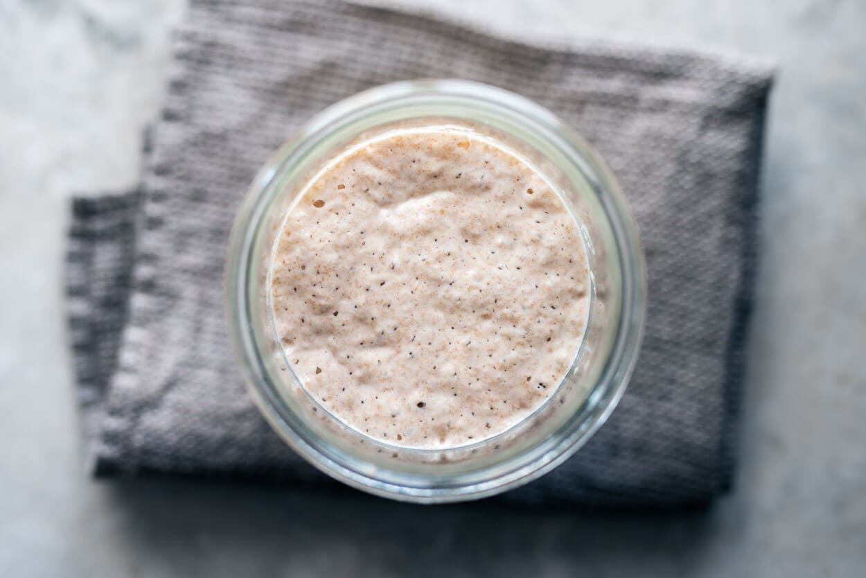 Frequently Asked Sourdough Starter | Loaf