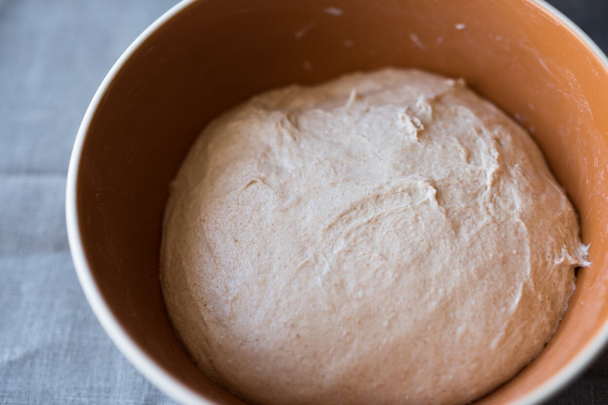 dough midway through bulk fermentation