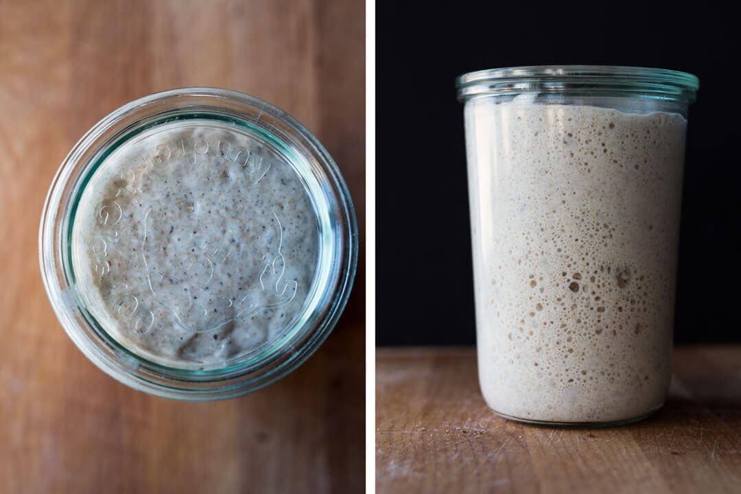 sourdough levain