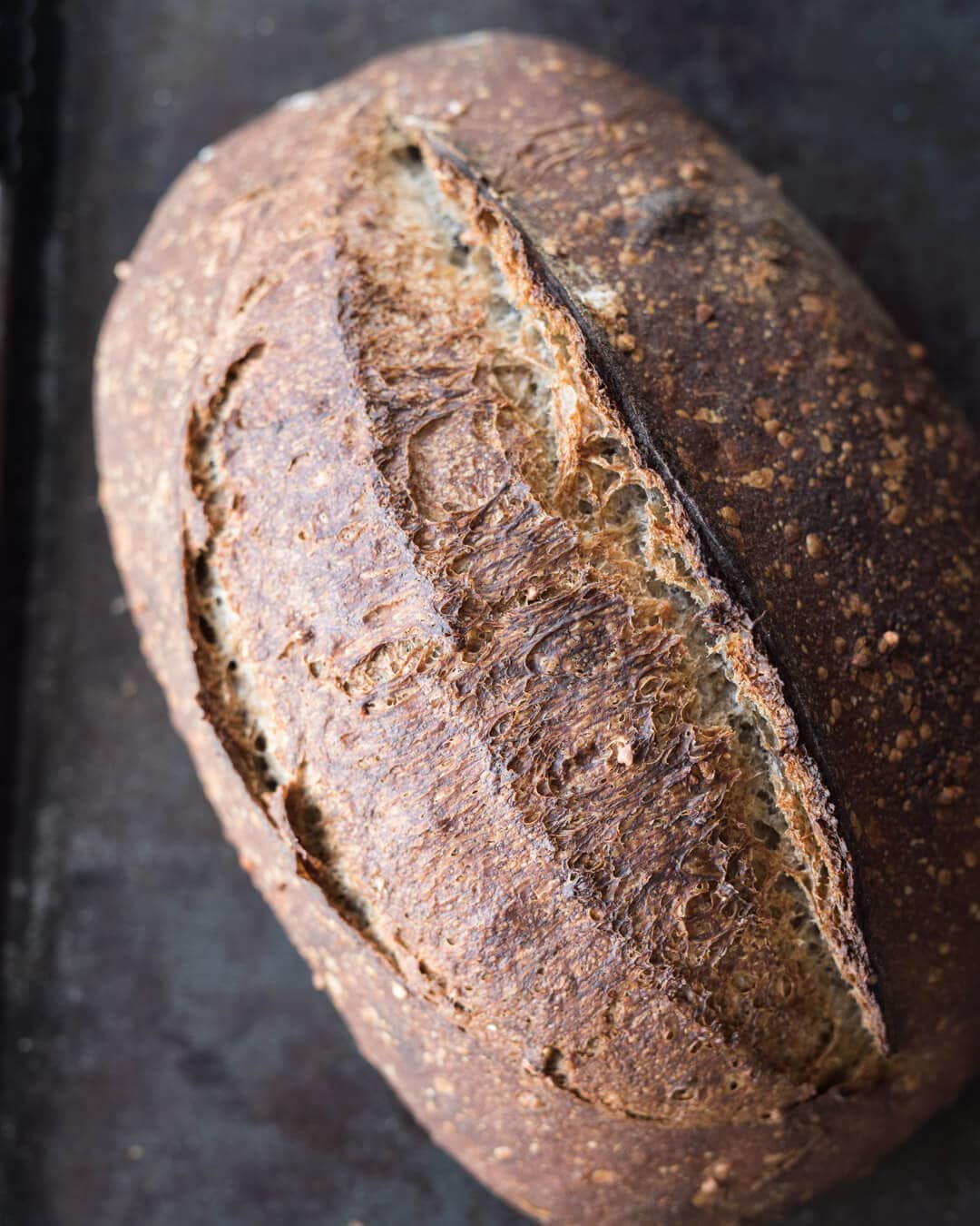 Sprouted Buckwheat Sourdough Crust