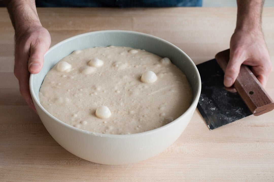 Easy Dutch oven sourdough bread for beginners - Sprouting Wheel