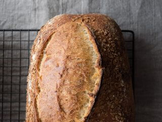 Bread crust in moody light