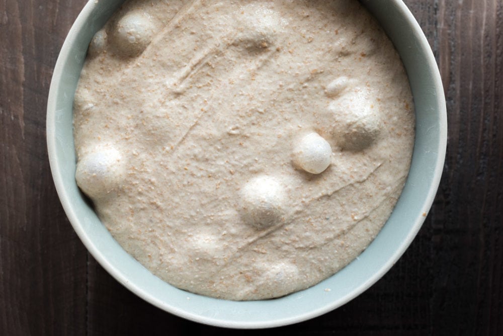 The Importance of Dough Temperature in Baking The Perfect Loaf