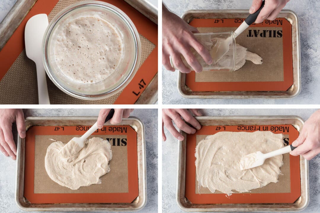 How to Store Sourdough Starter via @theperfectloaf