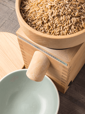 Grain Mill via @theperfectloaf