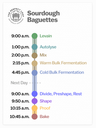 Sourdough Baguette Recipe Baking Schedule