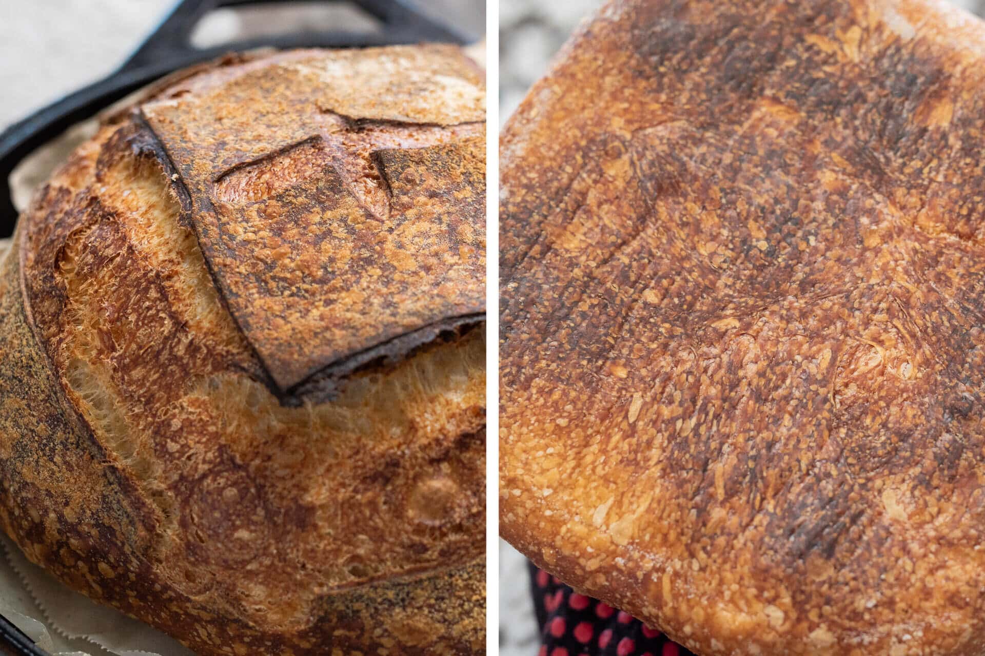 I Decided to Bake Sourdough Bread In My New/Old 2 Qt. Lodge Dutch Oven 