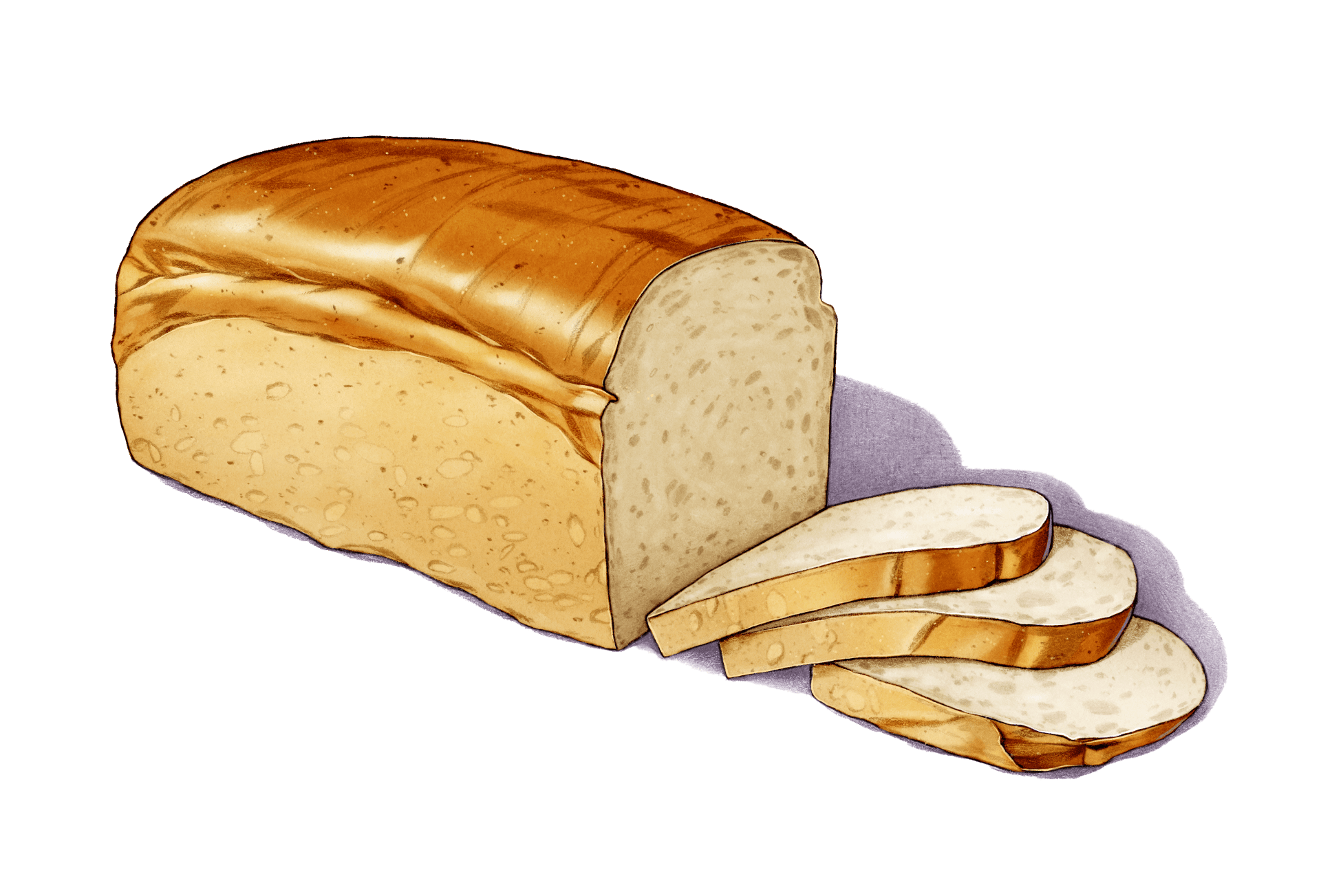 Sourdough Pain de Mie Illustration