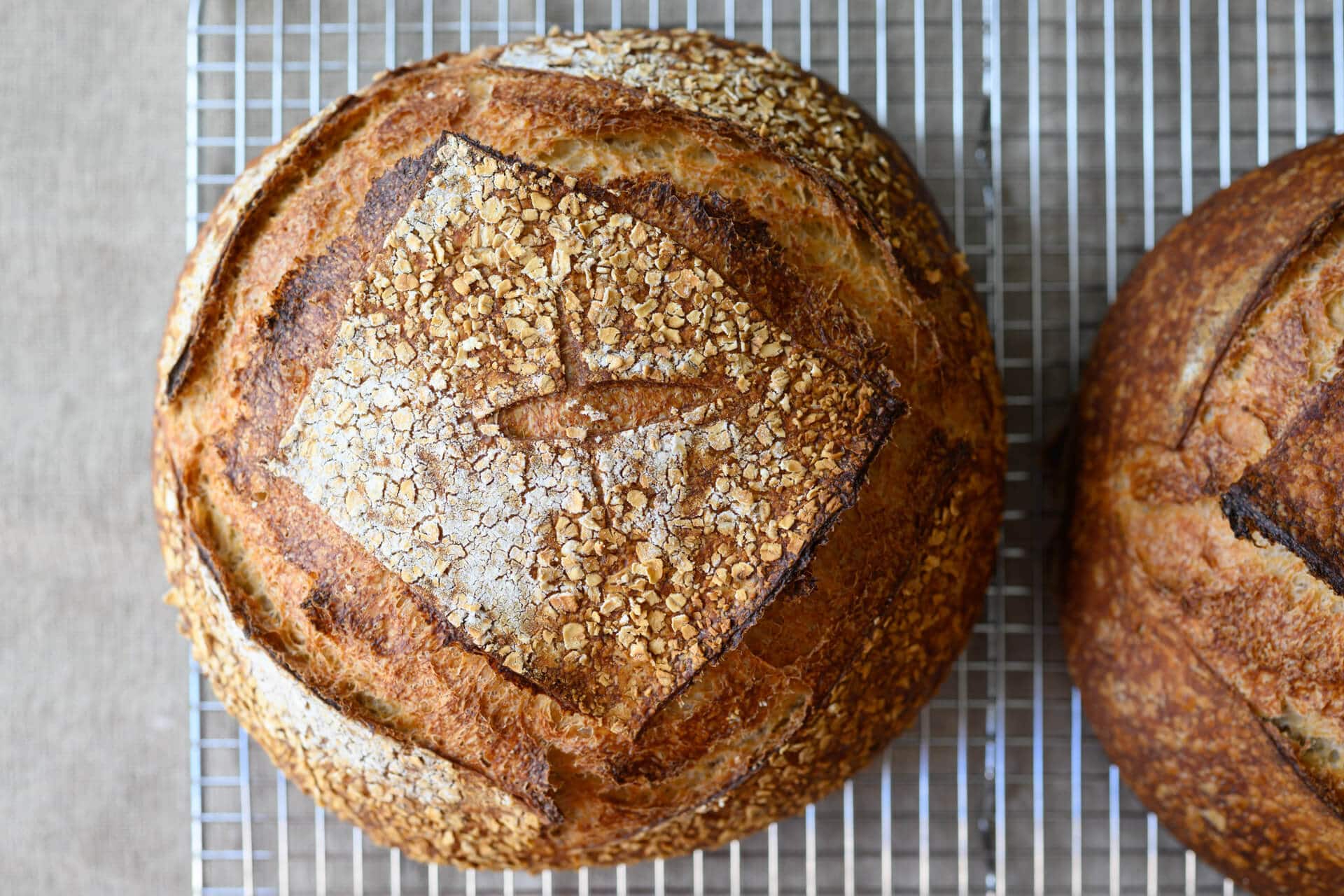 Freshly milled flour: Essential Recipes