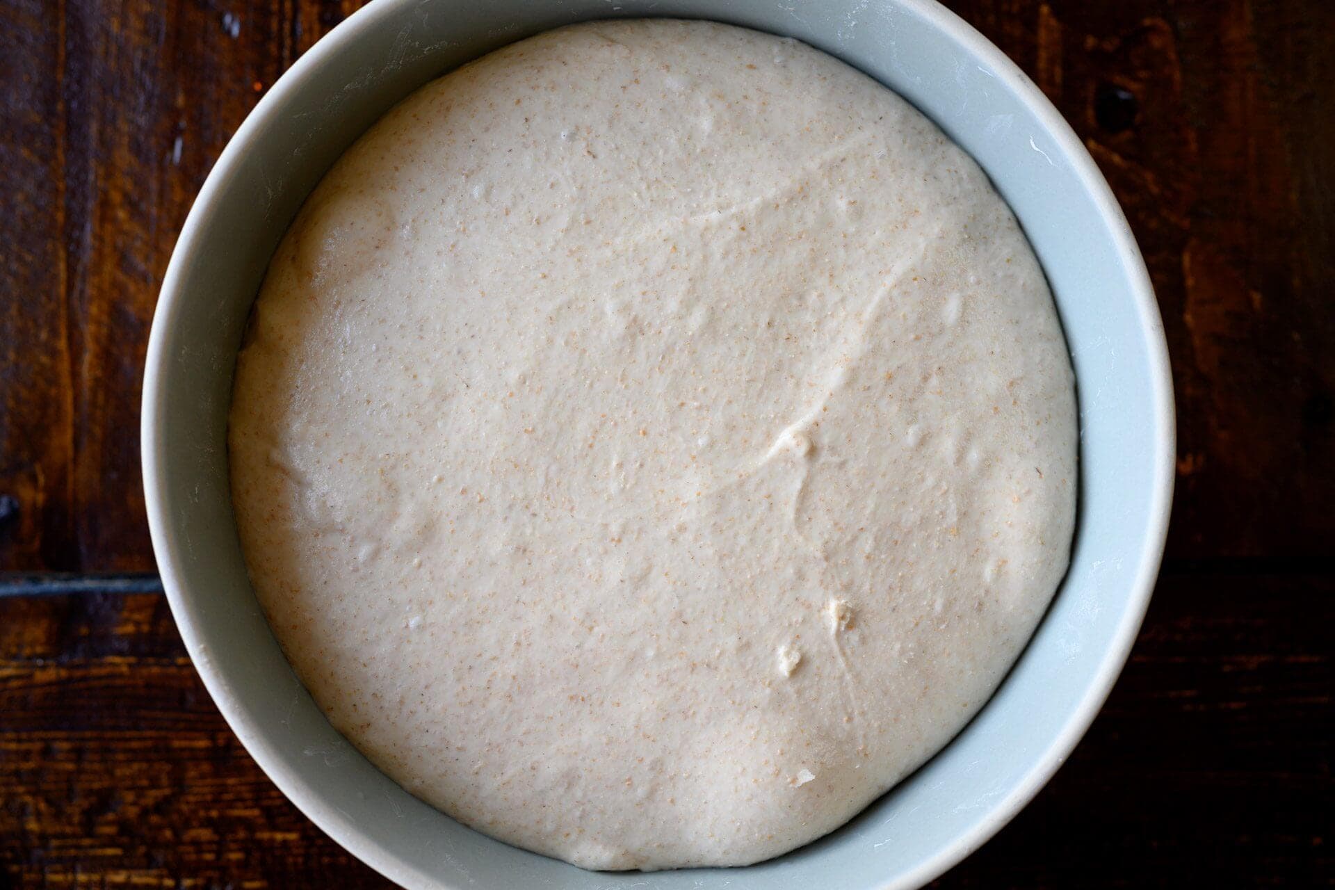 Malted wheat sourdough bread dough at end of bulk fermentation