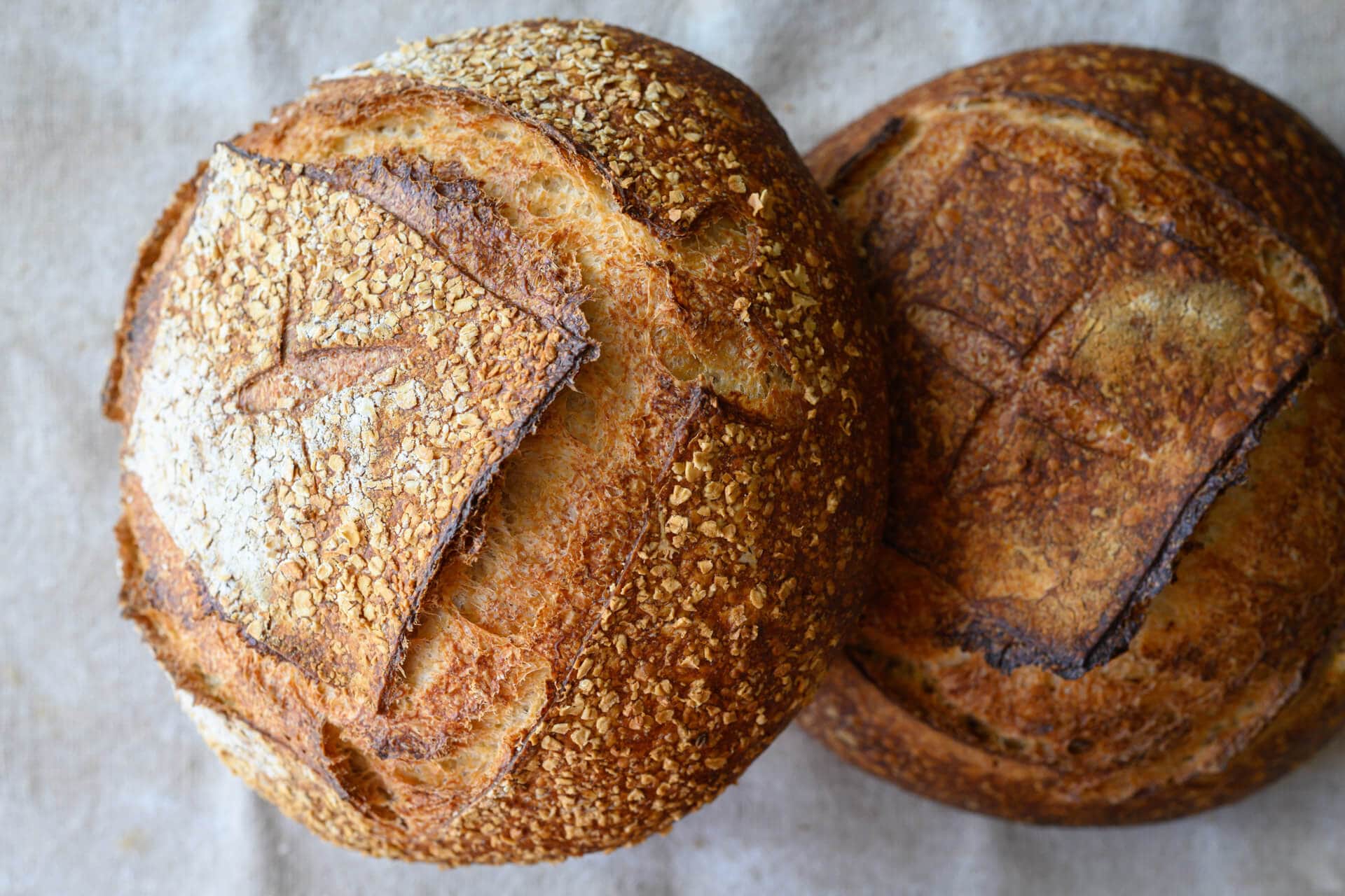 https://www.theperfectloaf.com/wp-content/uploads/2019/07/theperfectloaf-malted-wheat-sourdough-bread-14.jpg