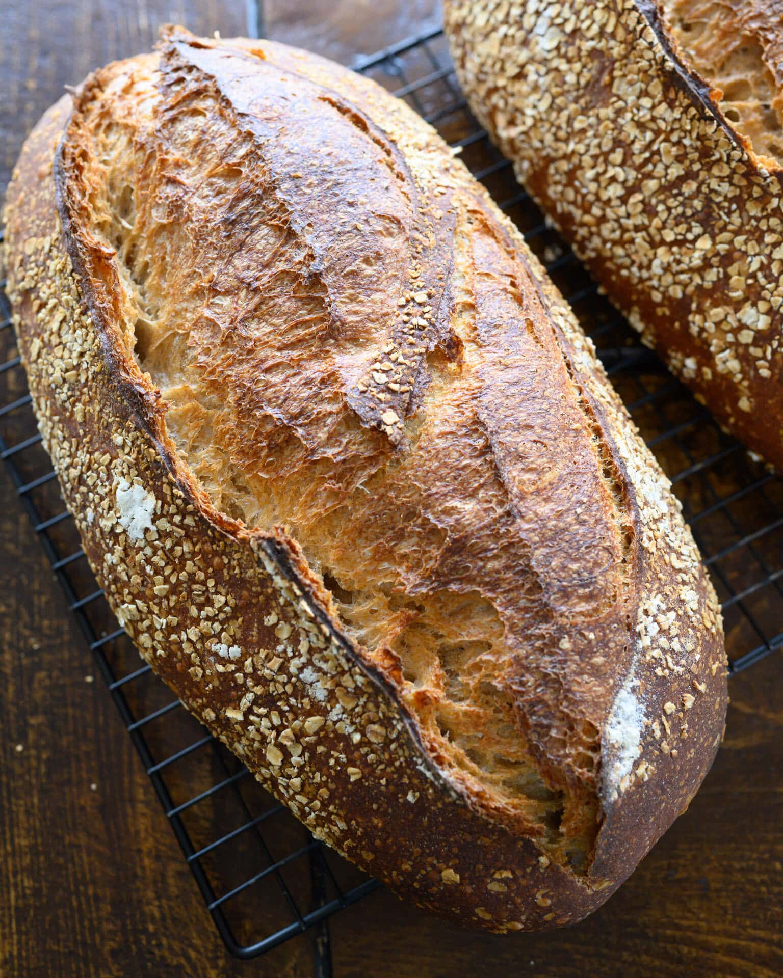 Sourdough Pan Loaves – Flourist