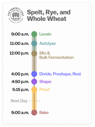 Spelt, Rye, and Whole Wheat Sourdough Bread Baking Schedule
