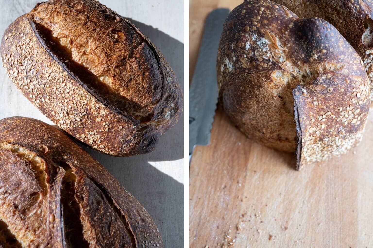 The Best Way to Store Bread The Perfect Loaf