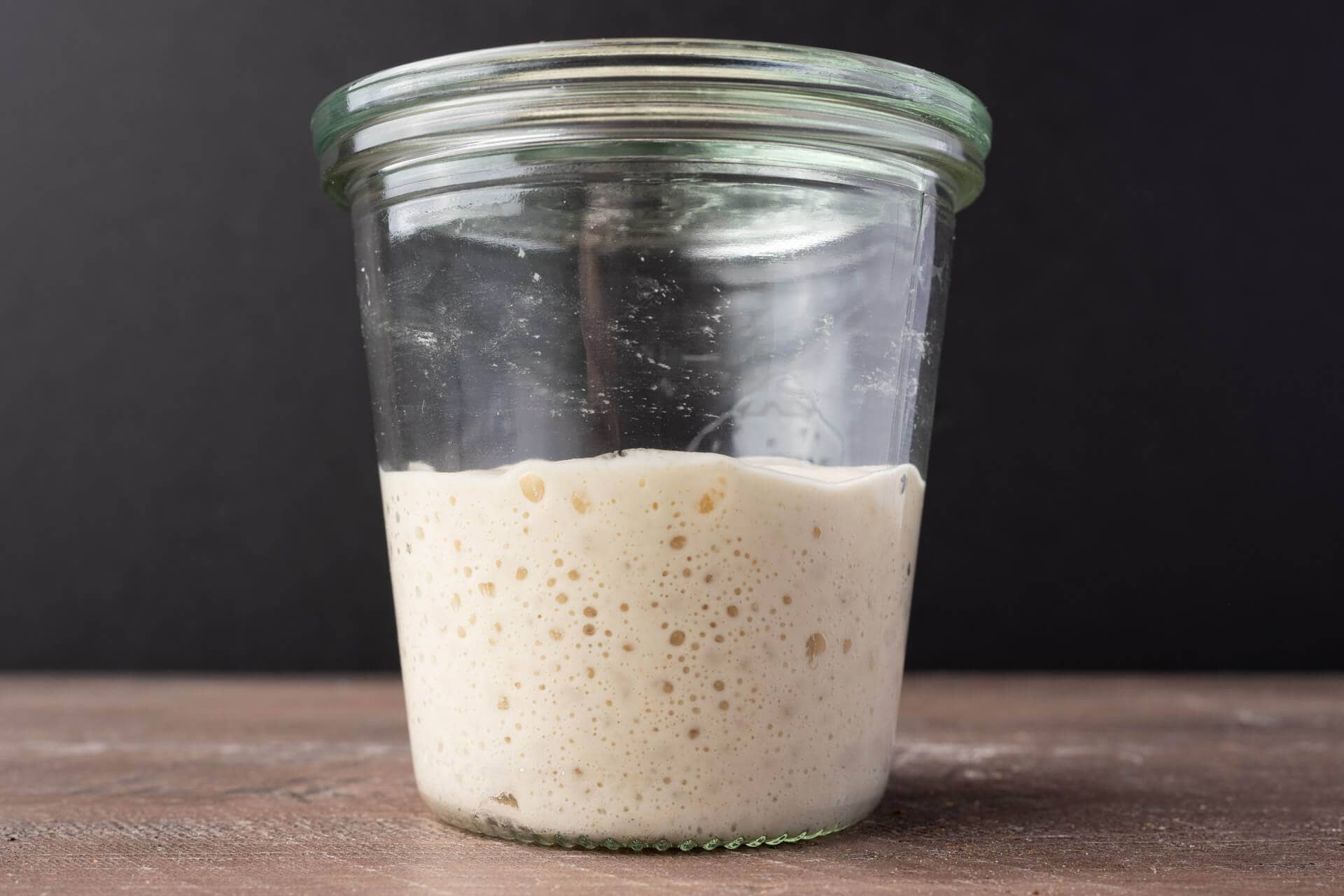 Smaller sourdough starter at peak maturity