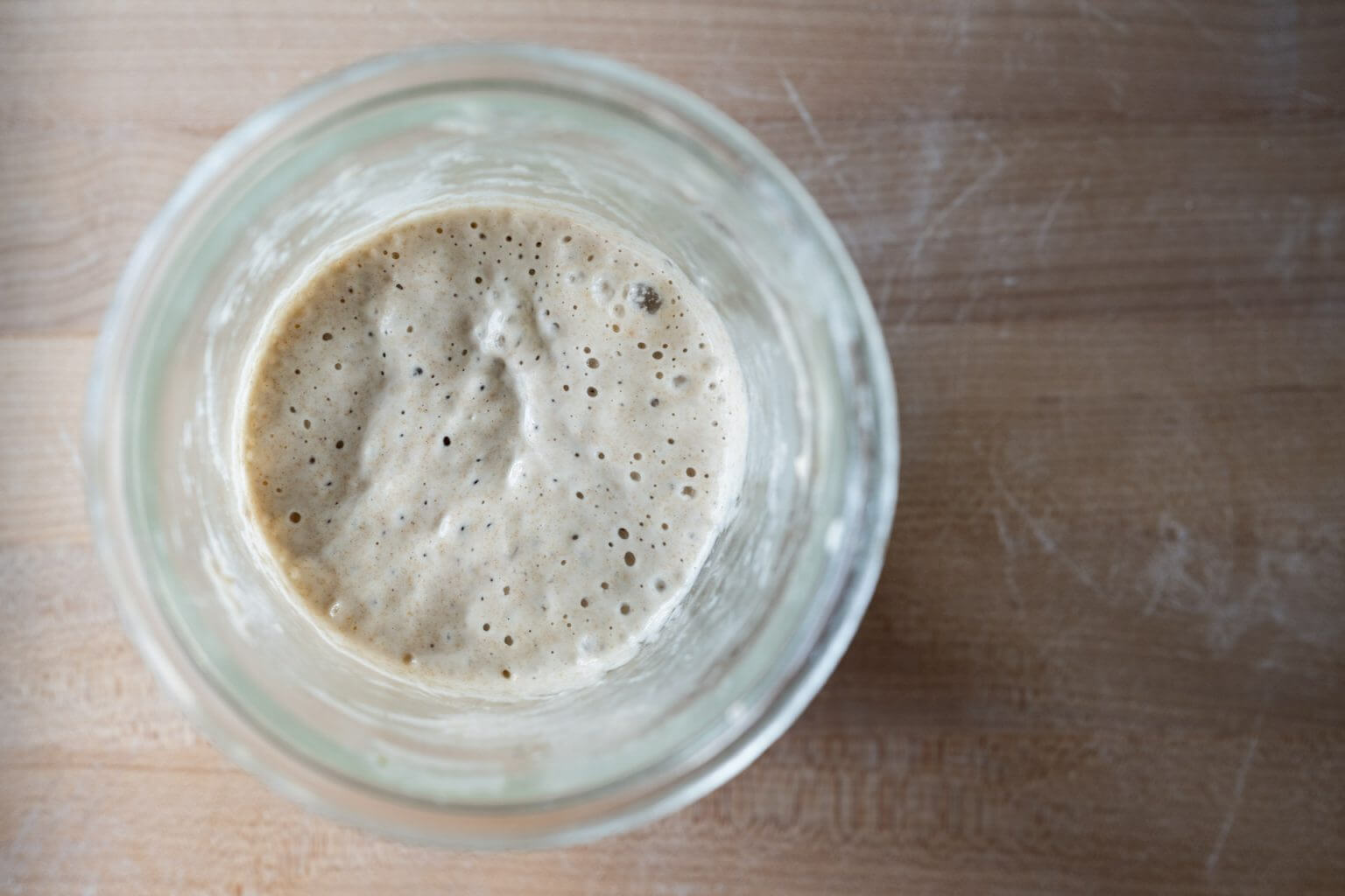 Sourdough Bread with AllPurpose Flour The Perfect Loaf