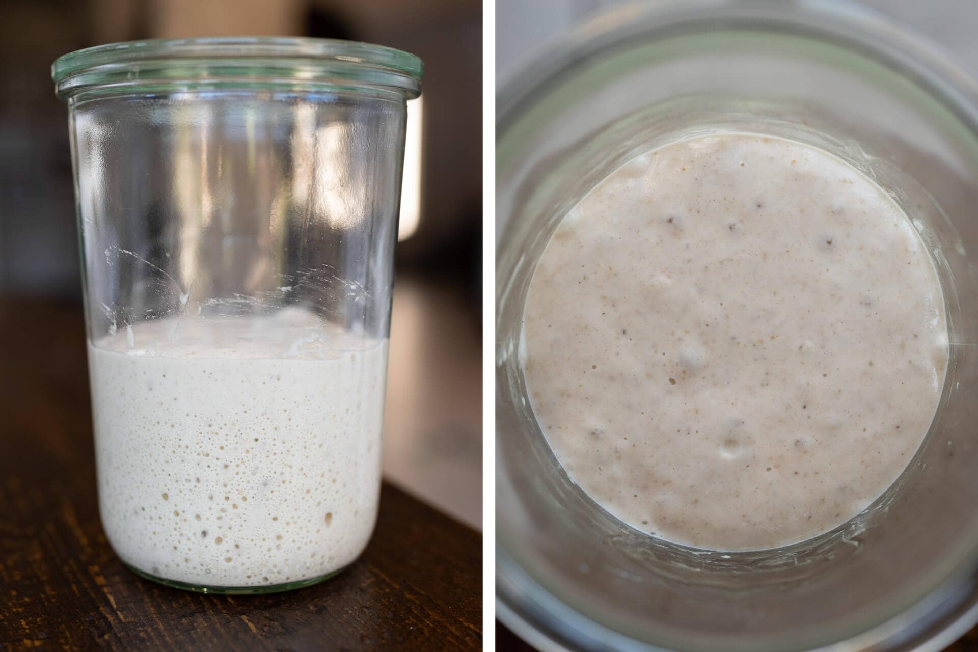 Ripe sourdough starter