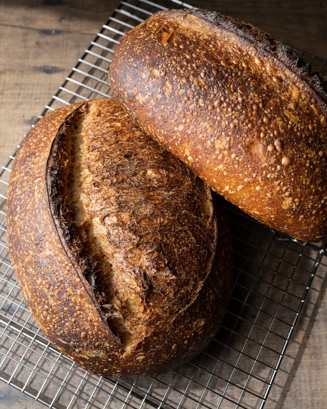How to Bake Sourdough Bread at High Altitude The Perfect Loaf