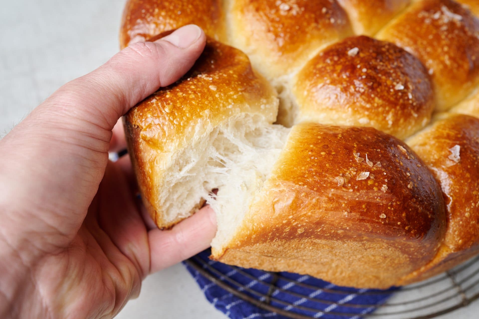 Soft dinner rolls pull